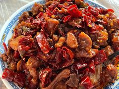 -食神又名厕所兔