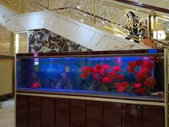 水产区-悦来酒家·正宗闽南菜(西街店)