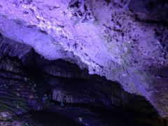 android_upload_pic-九皇山景区