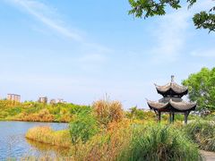 -眉山湿地公园(东坡区)