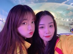 -世界之窗阿尔卑斯冰雪世界