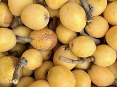 -塘栖枇杷特色园区