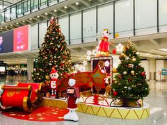 -香港国际机场-T2航站楼