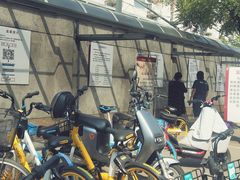 -中国中医科学院西苑医院(本部)