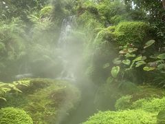 -Chom Cafe and Restaurant