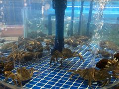 -吉源大排档·鱼生·海鲜(烧烤彩印厂店)