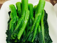 蚝油菜心-黄枝记(议事亭前地店)