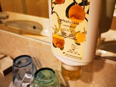 -香港皇家太平洋酒店