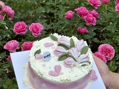 -5Cake五度无蔗糖低脂蛋糕(陶然亭店)