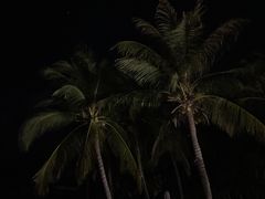 -三亚太阳湾柏悦酒店