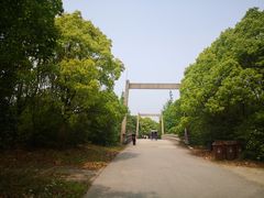 -上海海湾国家森林公园