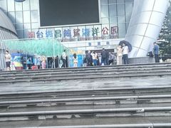 -烟台海昌鲸鲨海洋公园