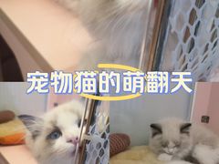 -龙湖南京江北天街
