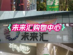-远洋未来汇