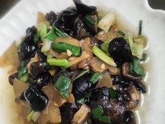-曾福兴