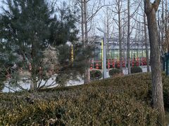 -南宫五洲植物乐园