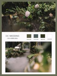 -DC大蔡婚礼策划(李公堤店)