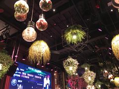 -胡桃里音乐酒馆(白云五号T5 MALL店)