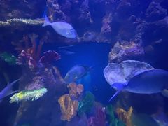 -石林冰雪海洋世界