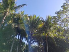 -深圳湾公园(南山区)