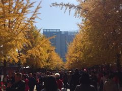 -辽宁大学(崇山校区)