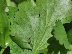 -海底捞火锅(大融城店)