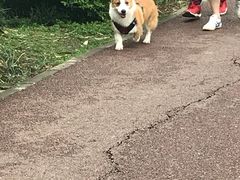 -白鹭湾湿地公园