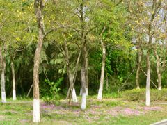 -白鹭湾湿地公园