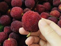 -楠溪江风景名胜区