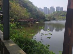 -重庆彩云湖湿地公园