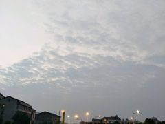 -田园小观园(武大店)