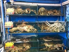 -蚝专家(北滘店)