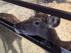 -酷嗒动物文化乐园(cutezoo西溪乐天城店)