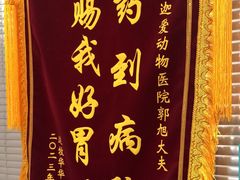-美迦爱动物医院·夜诊(朝阳路诊疗中心)