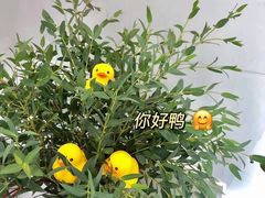 -LINLEE林里·手打柠檬茶(惠城仲恺天益城店)