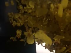 -泰之源足浴会所(玉环店)