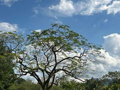 -中国科学院西双版纳热带植物园