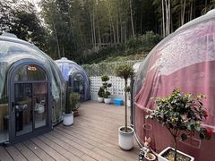-紫藤园·天目湖大鱼头(南山竹海店)