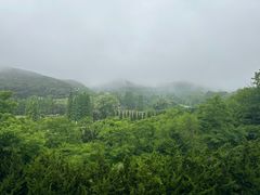 -棒棰岛宾馆景区