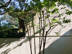 -秋霞圃