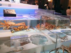 -同庆楼(滨湖万达广场店)