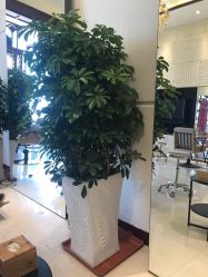 -Hello Lady发型设计