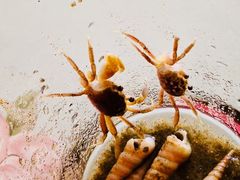 -海上驿站渔家菜馆