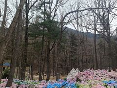 -洛阳白云山景区