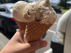 -Dooley's Premium Ice Cream