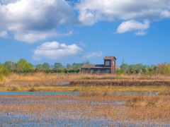 -泗洪洪泽湖湿地景区