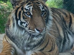 -栾川竹海野生动物园