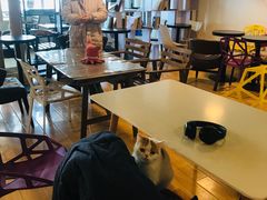 大堂-Cappucimeow猫咪咖啡馆(韦伯时代店)