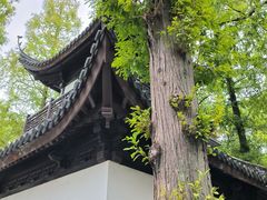 -汇龙潭