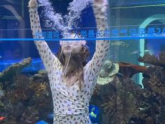 -成都浩海立方海洋公园